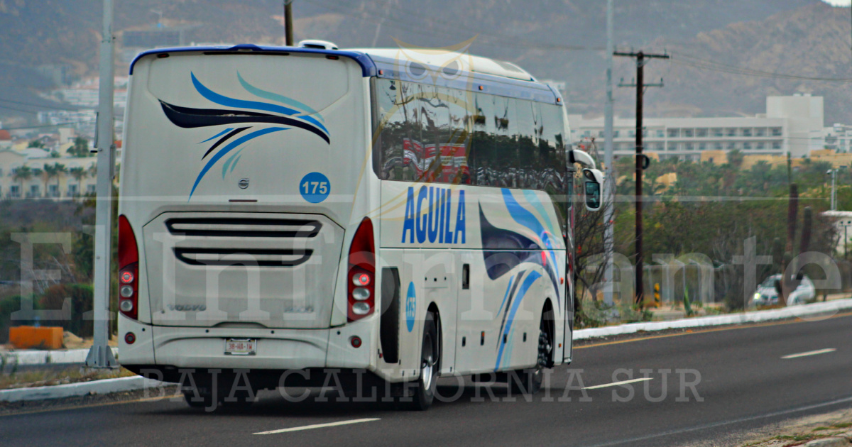 transporte aguila camion - El Informante de Baja California Sur