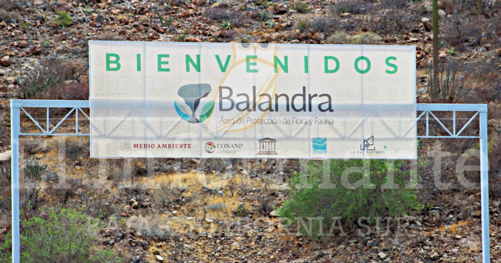 Cierre Total En Playa Balandra; Declaran Contingencia Ambiental Tras ...